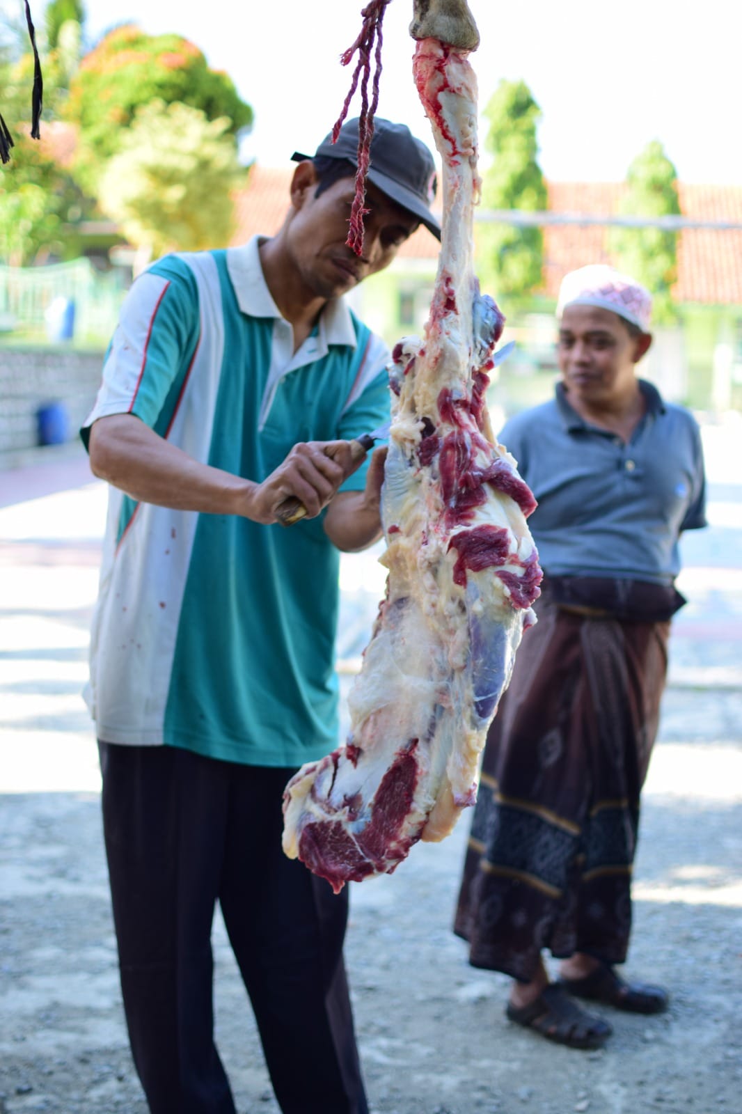 Gambar Berita